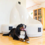 Keskkonnasäästliku koldega disainahi