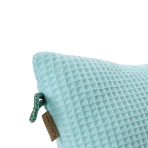 Saunapadi MoSanna (mint)